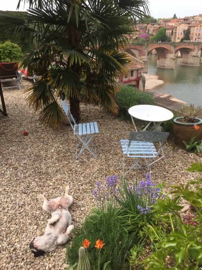 Comfort And Fab Views Albi Exterior foto